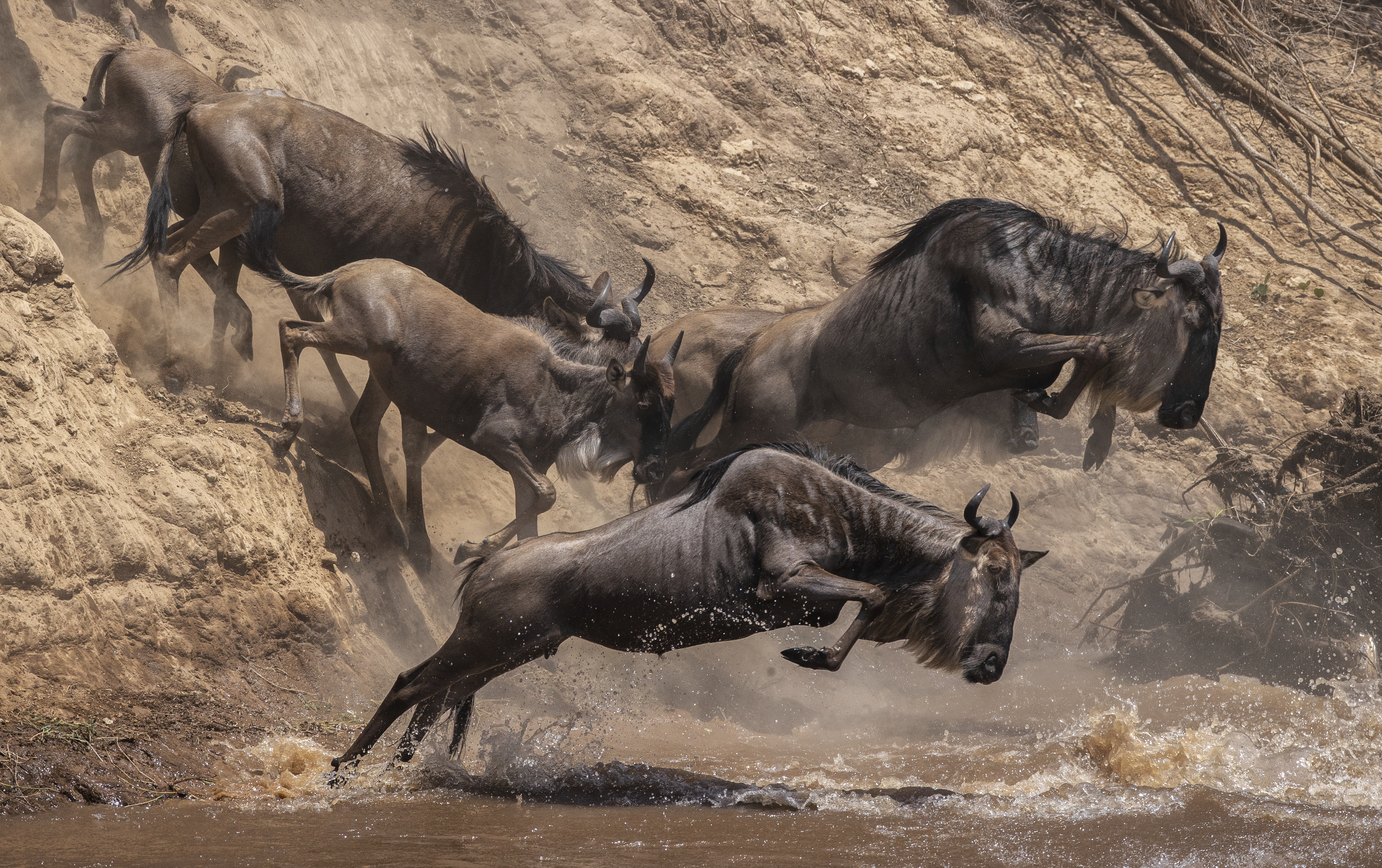 National Geographic Live